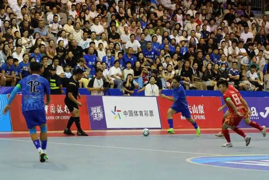 天天赢球排行榜与球队数据模块